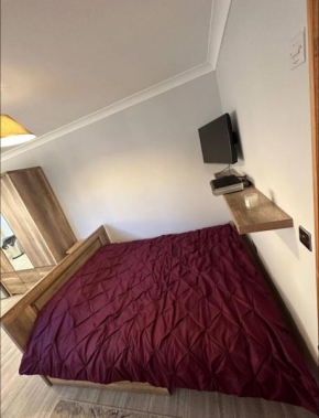 Gatwick Cosy Apartment